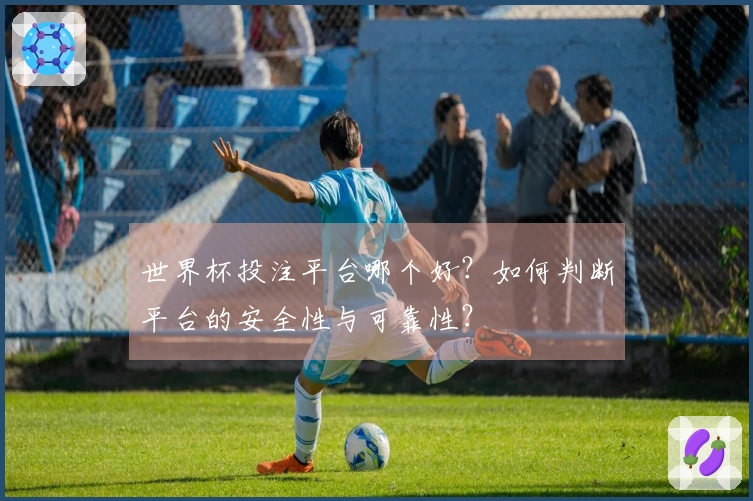 世界杯投注平台哪个好？如何判断平台的安全性与可靠性？