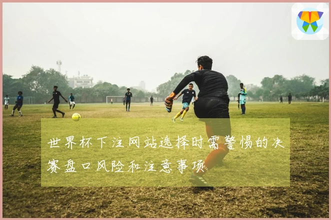 世界杯下注网站选择时需警惕的决赛盘口风险和注意事项