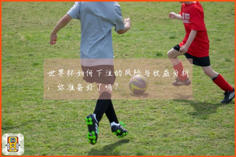 世界杯如何下注的风险与收益分析，你准备好了吗？